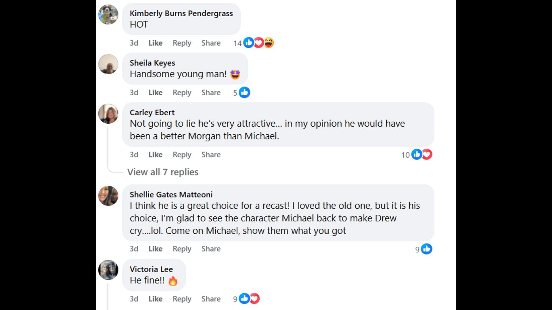 Fans praise the casting choice for Michael's character (Image via Facebook/General Hospital Fans - Official)